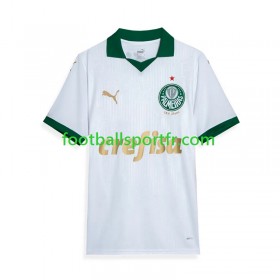 Tenue Palmeiras Exterieur 2024 Maillot de Foot